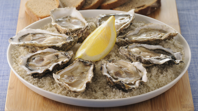 Oysters on a plate