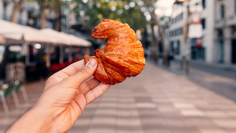 Hand holding croissant