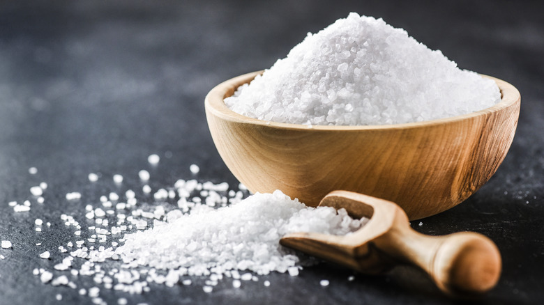 Wooden bowl of salt with spoon