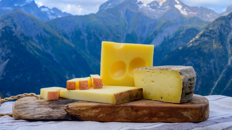 Collection of Alpine cheeses