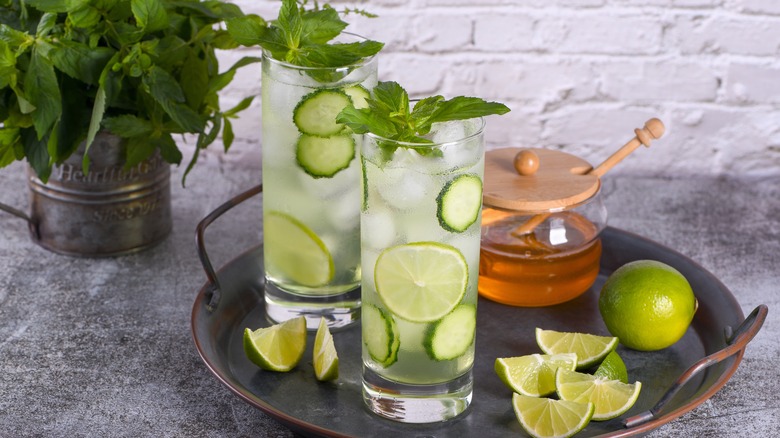 cucumber gimlet garnished with mint