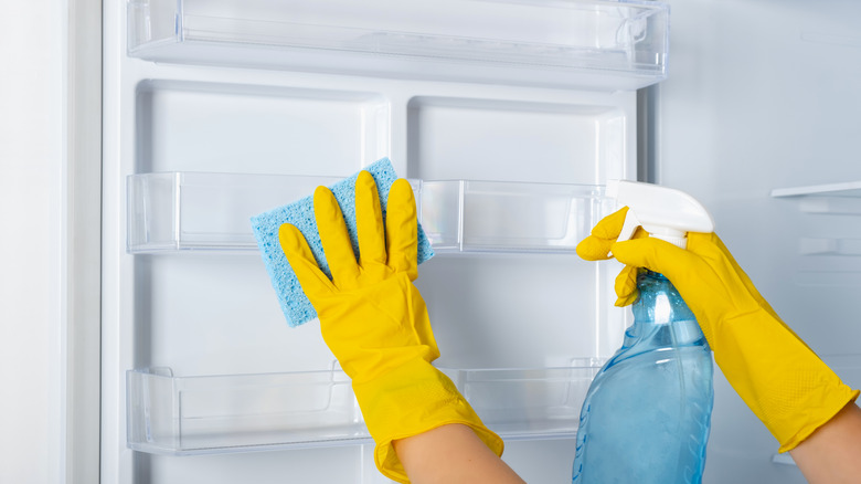 gloves hands scrubbing fridge