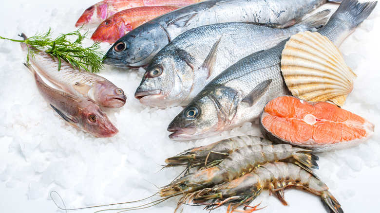 Seafood on ice at the fish market