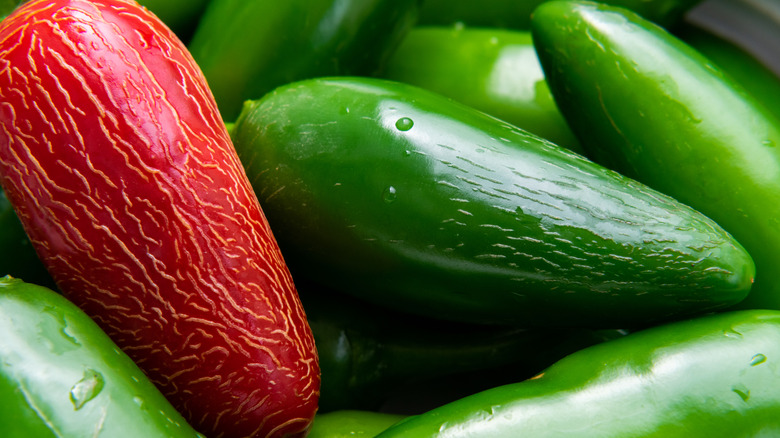 Jalapeño peppers with white lines