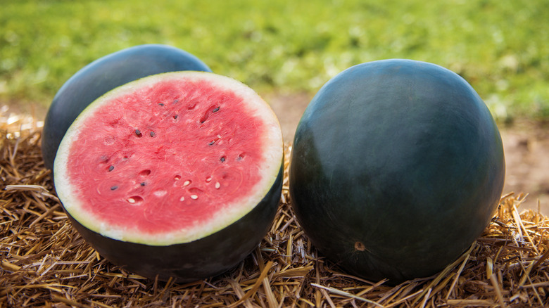 Cut black watermelon with red flesh in a field