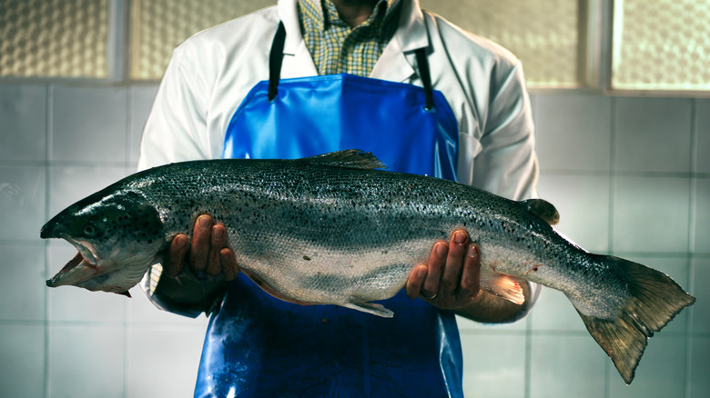 A fishmonger in a blue apron holds up a large fish