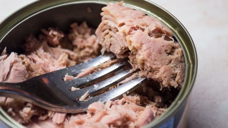 Fork in a can of tuna 