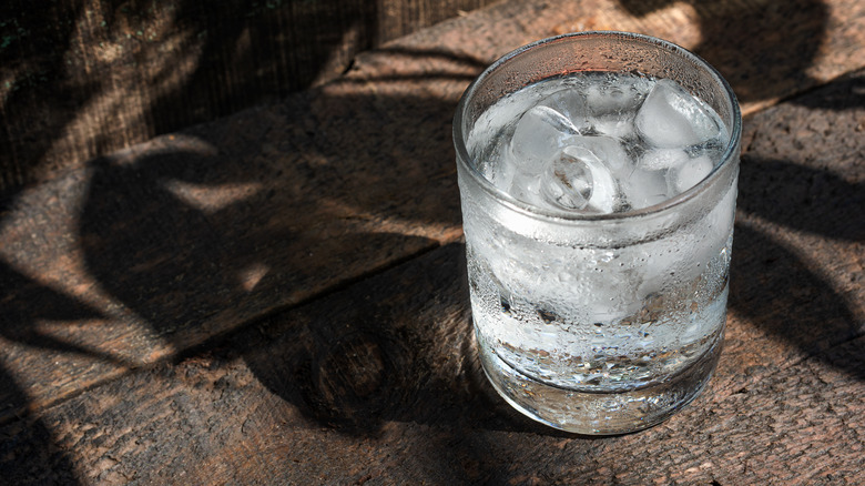 Cup of water with ice perched on a bench with leafy shadows