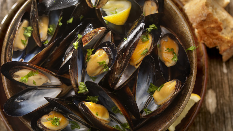 Steamed mussels with parsley