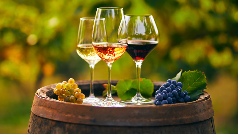 Glasses of white, orange, and red wine on vineyard barrel