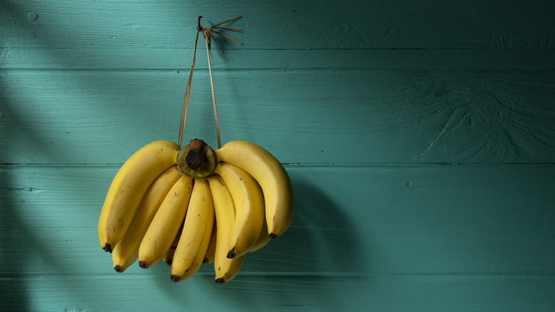 Hanging bananas