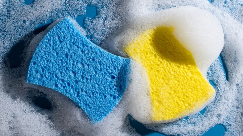 Yellow and blue soapy sponges on a blue background