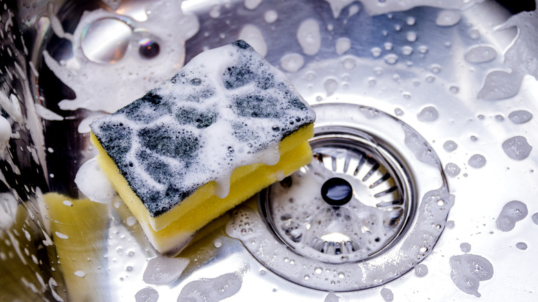 yellow and green sponge sitting in a soapy sink