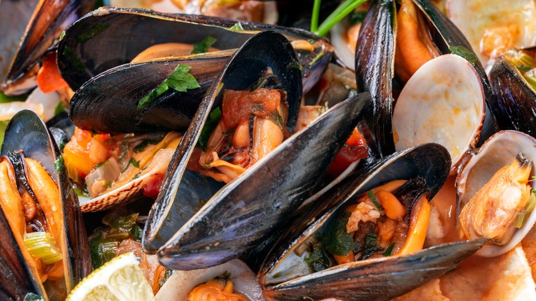 cooked mussels and clams