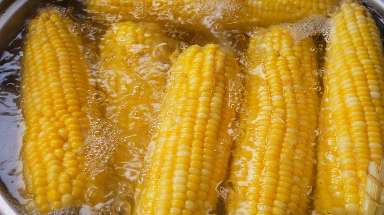 corn boiling in a pot