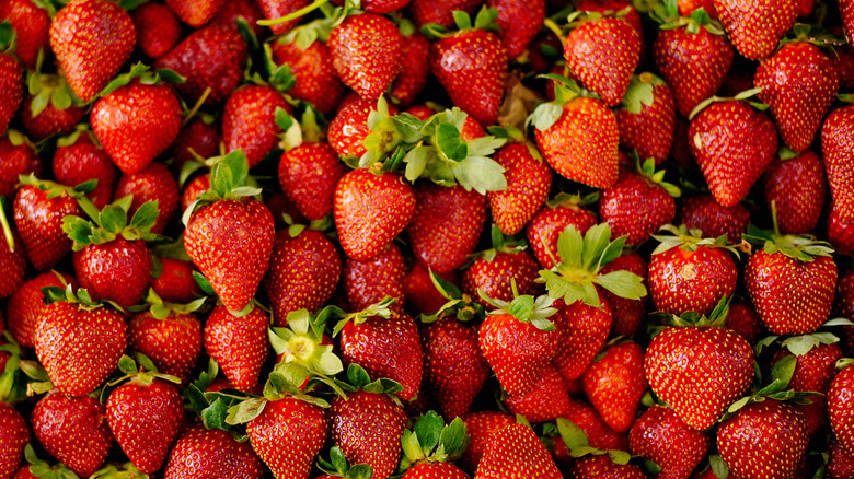 Ruby red strawberries are spread out on a flat surface.