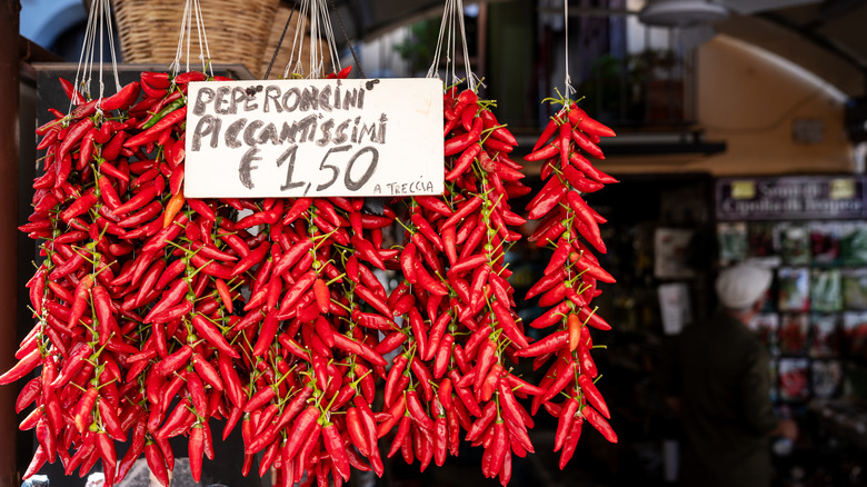 Italian Calabrian red chili peppers 