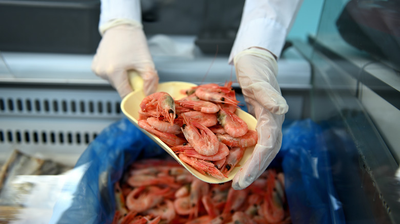 Choosing fresh shrimp