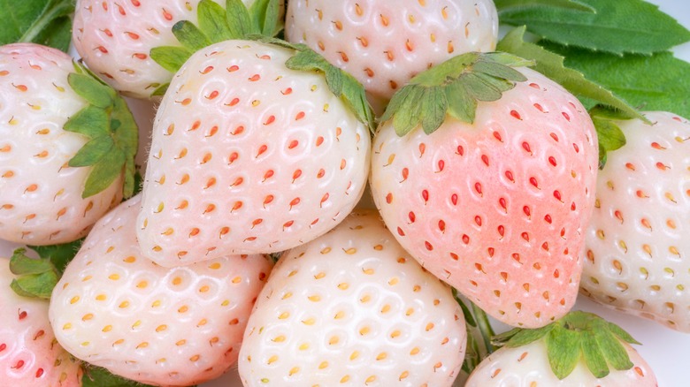 Pineberries or white strawberries