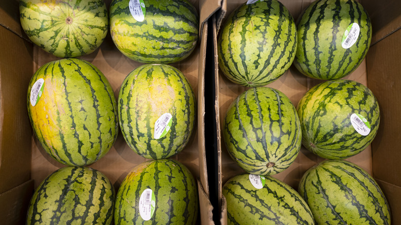 Two boxes of watermelons