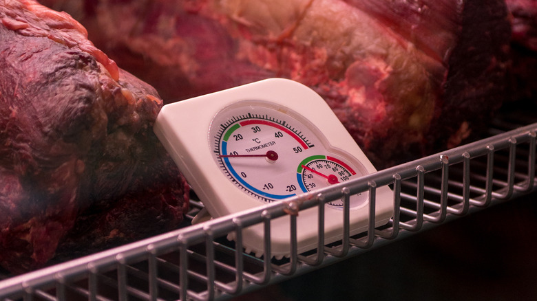 Meat and thermometer on shelf 