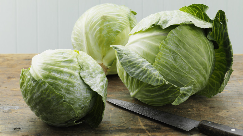 Three heads of raw green cabbage