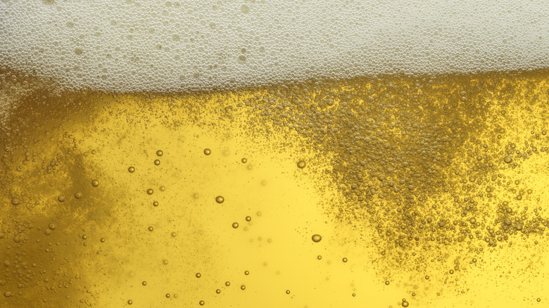 Bubbles swirl in a close-up of beer carbonation