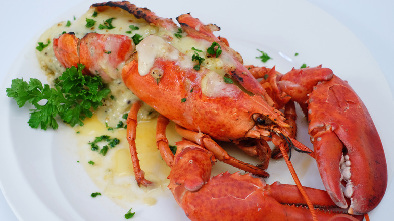 Lobster thermidor served in whole shell