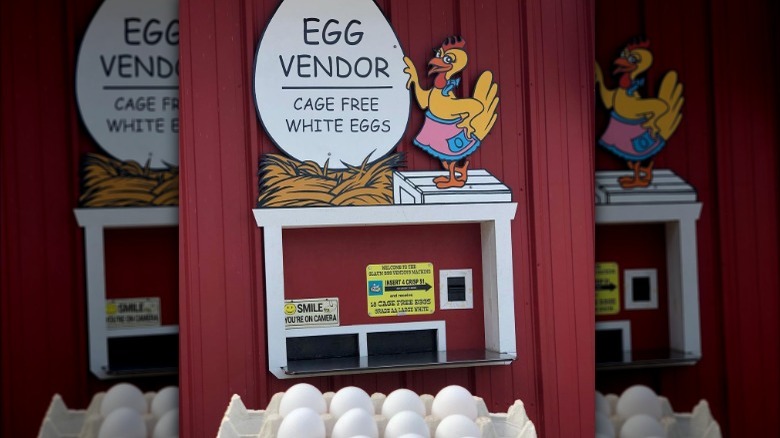 Farmer holding eggs