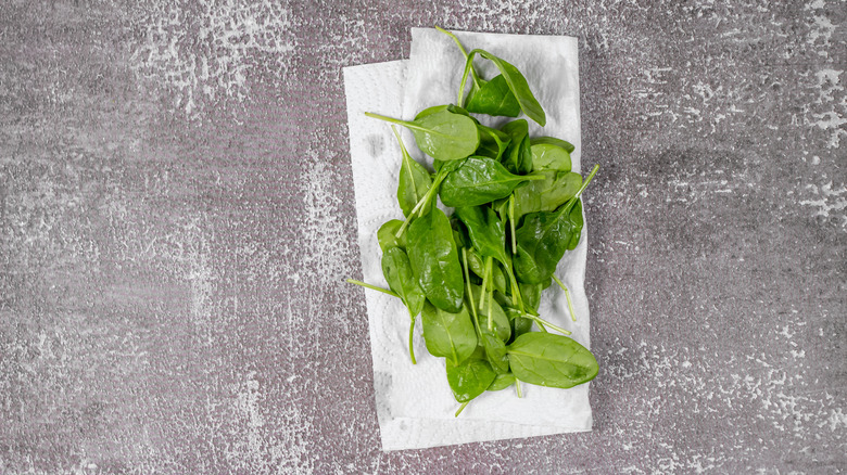 Spinach on paper towel