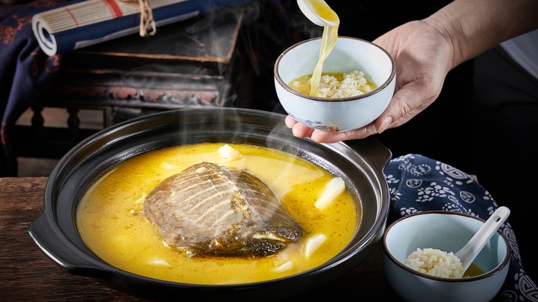 Turtle with shell in yellow soup served with rice