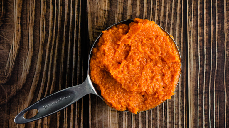 A scoop of pumpkin puree