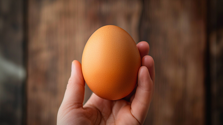 Hand holding a large brown egg