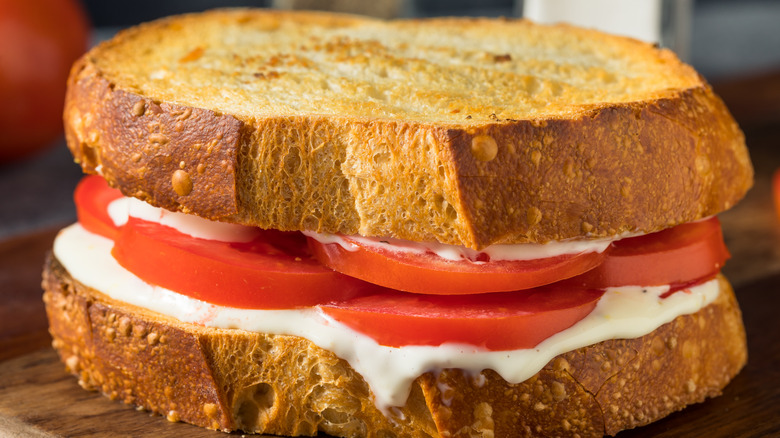 Tomato and mayo sandwich