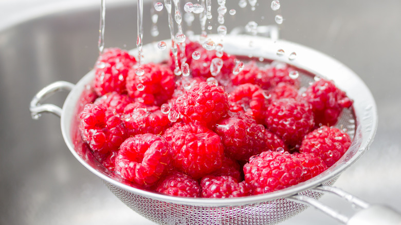 rinsing fresh raspberries