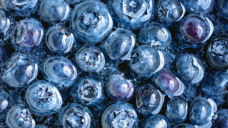 Blueberries floating in water