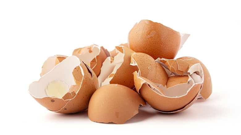 Pile of cracked eggshells