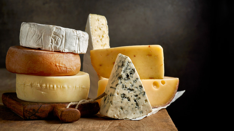 Several different types of cheese