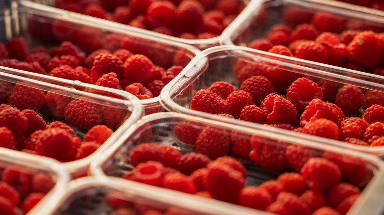 Raspberries in plastic cartons