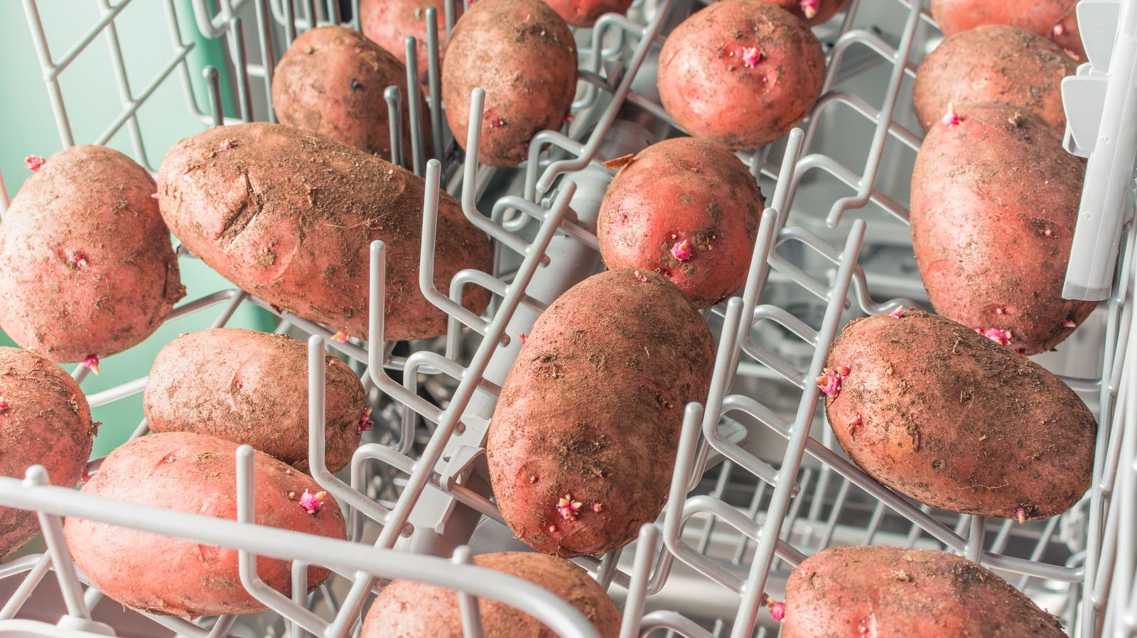 Think Twice Before Cleaning Potatoes In The Dishwasher