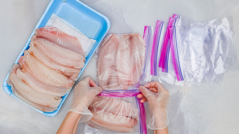 Gloved hands putting tilapia filets in baggies for freezing