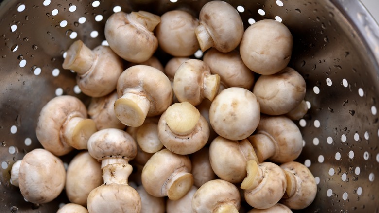 Mushrooms in a colander