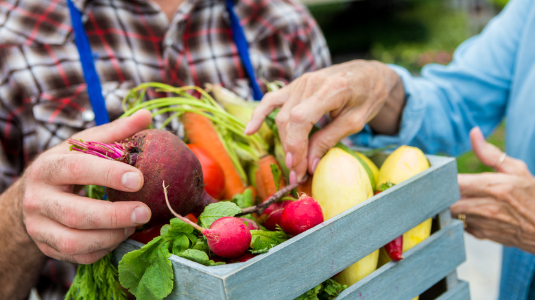 farmers market vegetables