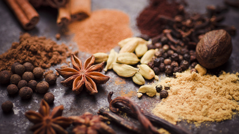 Various warming spices including star anise, cardamom, nutmen, and peppercorns are displayed together