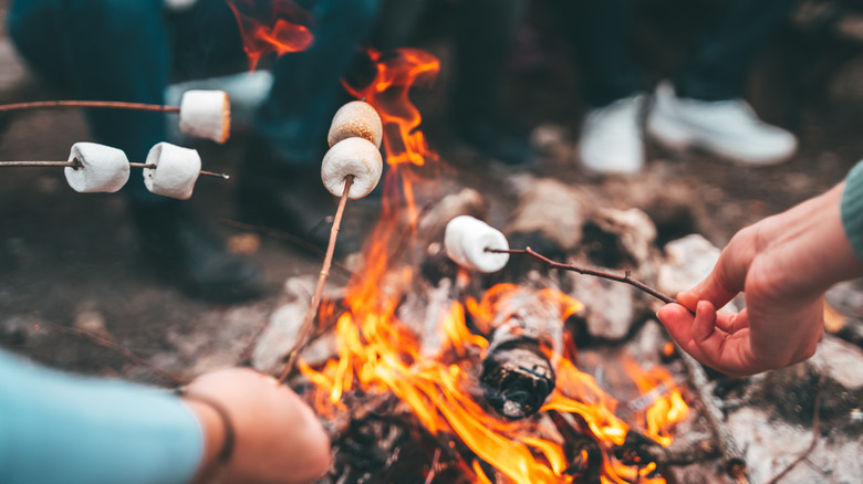 People roasting marshmallows on sticks over an open fire; camping scene