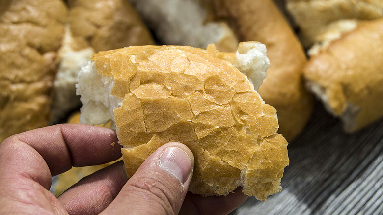 Hand holding a torn piece of bread