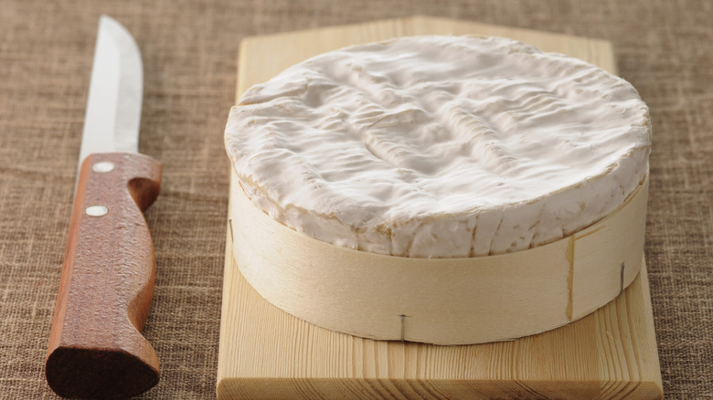 Wheel of camembert cheese