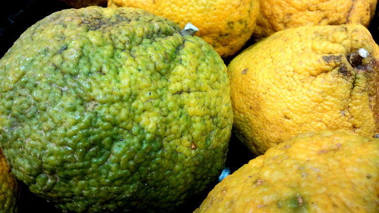 Close up of ugli fruits