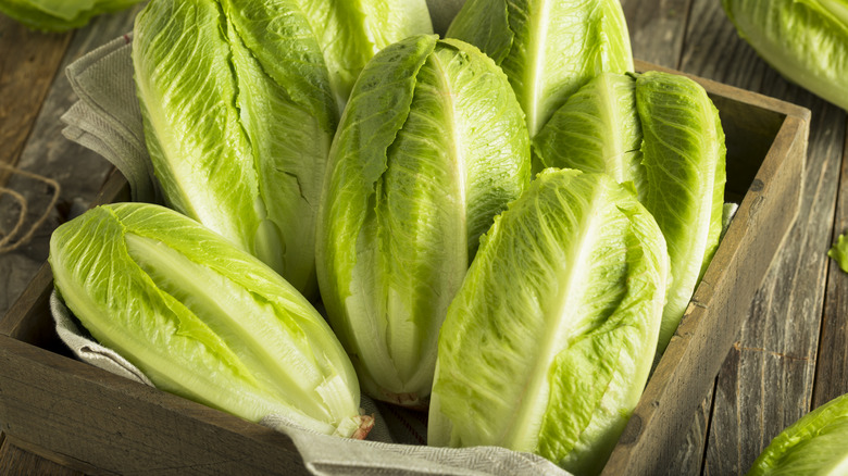 whole heads of romaine lettuce in wooden crate