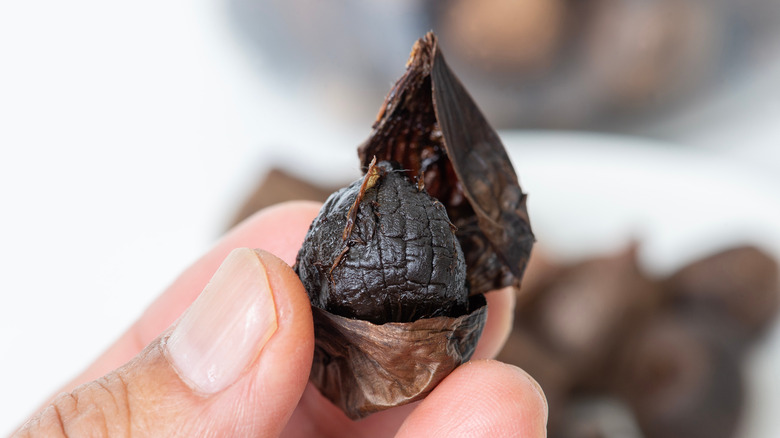 A person holds up a clove of peeled black garlic.